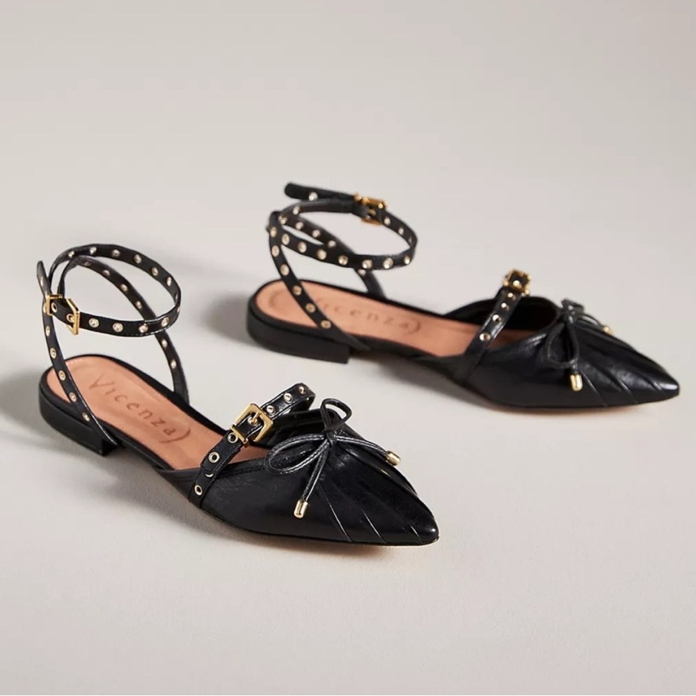 Vicenza Pointed Toe Flats - 37